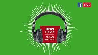 Bbc afaan oromoo Mary 14 2025 Ethiopian News today