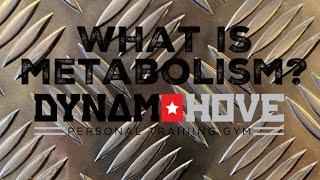 What is metabolism?