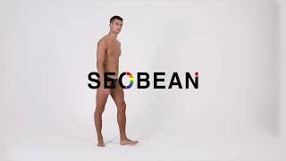 SEOBEAN Mens Sexy Low Rise Bikini Briefs 10104