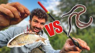 Köderfisch vs. Wurm  The River Vlog Folge 44