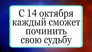 С 14 октября каждый сможет починить свою судьбу. | Тайна Жрицы |