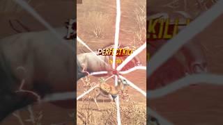 Hunting Sniper Game Perfect Kills and Lagging