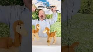 Puppet of the Day – Camel marionette made by Sunny Toys – The Puppet Hideaway with Eric Thomsen