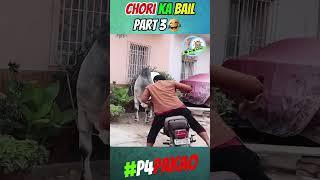 CHORI KA BAIL PART 3