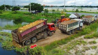 Processing Huge Filling Land Stone By Dump Truck 25.5Ton with Skillful Bulldozer SHANTUI, Mix VDO