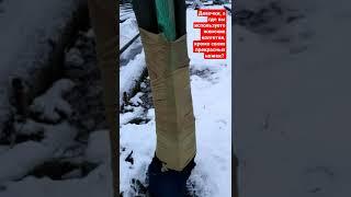 КОЛГОТКИ С ЖЕНСКИХ НОЖЕК!