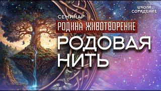 Родовая нить #родовая_нить #семинар_родина_животворение #гарат #школасорадение