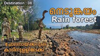 Nedumkayam Rain Forest | The Wild Beauty of Nilambur | E.S Dawson and Bridge | Rashid Edayur