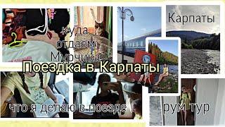 Поездка в Карпаты. Что делать с котом? Что я делаю в поезде, рум тур️