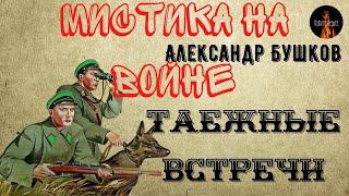 Мистика на Войне. ТАЕЖНЫЕ ВСТРЕЧИ (Пограничники столкнулись с непознанным.)