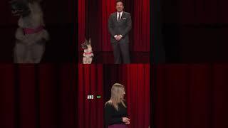 Jimmy Fallon's Big Test With the Dog ! 