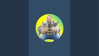 somefrenchienamedapollo is live!