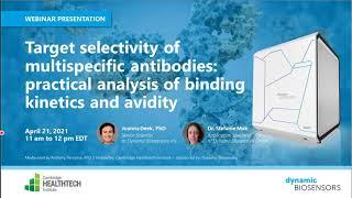 Target selectivity of multispecific antibodies: practical analysis of binding kinetics and avidity