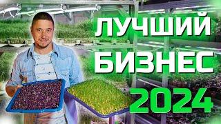 Лучший Бизнес 2024 Стартап