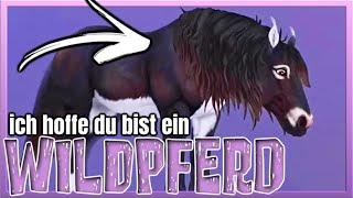 Ist das neue URPFERD ein WILDPFERD ? Star Stable Spoiler [SSO]