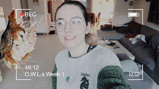 O.W.L.s MAGICAL READATHON VLOG WEEK 1 | Buddy Reads, Twitter & Office Tour | the wild Sasha