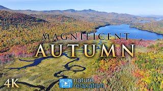 Magnificent Autumn - 2HR 4K Drone Film from America's NE + Piano Music