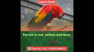 Parrot is red, yellow and blue. #shorts #zedxhindi #edxhindi#shorts #short #zedxhindi #edxhindi