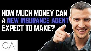 How Much Money Can A New Insurance Agent Make?