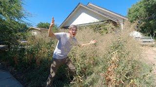 Neighbor can't REMEMBER the last time this lawn was cut