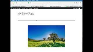 Insert an Image on a WordPress Page