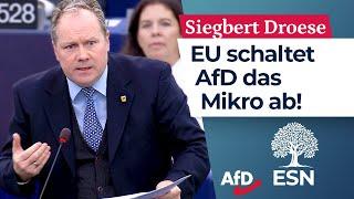 EU schaltet AfD das Mikro ab! – Siegbert Droese (AfD)