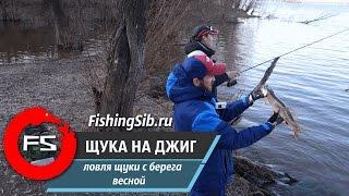 Весенняя береговая ловля щуки на джиг | FishingSib.ru