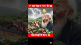 Dad Cat saved his Family from Thieve#cat #catsoftiktok#shortsfeed#trendingshorts#viralshorts 73