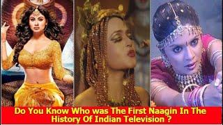 Do You Know The First Actress Who Played Naagin In Indian Television ?