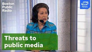 Will “Work It Out Wombats!” survive? GBH’s CEO assesses threat to public media funding