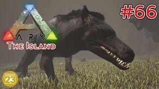 ARK The Island - Andrewsarchus zähmen |#66| Let's Play Gameplay Deutsch German