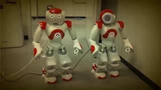 2018 introduction video @ NAIST Robotics Lab