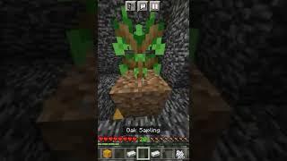 Minecraft bedrock prison escape || My friend trapped me in a bedrock prison #shorts #minecraftvideo