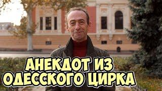 Анекдоты 2019. Анекдот про цирк! Прикольные одесские анекдоты!