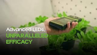 Best Lighting for Plant Growth and Personal Wellbeing