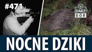 Darz Bór odc 471 Nocne polowanie na dziki.