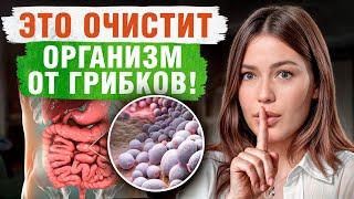 ЭТИ продукты убивают грибок! / Как БЕЗОПАСНО избавиться от грибка в организме?