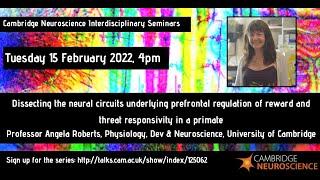 Angela Roberts - Dissecting the neural circuits underlying prefrontal regulation of reward & threat