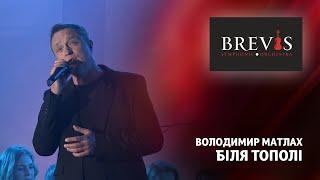 Володимир Матлах - Біля тополі | Симфонічний оркестр "BREVIS" з програмою "ПАТРІОТ"