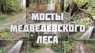 мосты Медведевского леса