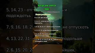 Ставь лайк и переходи в мой ТГ канал по ссылке в описании профиля ⬆️#нумерология