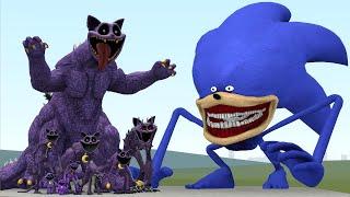 NEW THE SONIC TAPES IS INSANE VS CATNAP GODZILLA AND FAMILY CATNAP in Garry's Mod!!