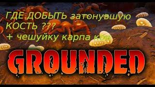 Grounded. Утонувшая КОСТЬ и чешуйка карпа. Где найти?