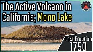 The Active Volcano in California; Mono Lake