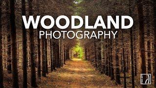 PERSPECTIVES & LINES | Landscape Photography (On Location)