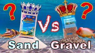 Aquarium Substrate Showdown: Sand vs Gravel! Does it Even Matter?