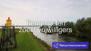 Tiengemeten zoekt vrijwilligers | Natuurmonumenten