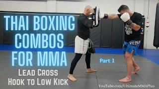 Thai Boxing Combos for MMA : Lead Cross - Hook to Low Kick Part 1