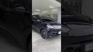 BYD SEAGULL EV 2025
