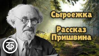 Михаил Пришвин. Сыроежка. Рассказ читает Алексей Покровский (1986)